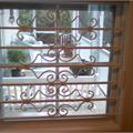 Window Security Bars