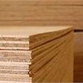 General Use Plywood